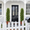 Faux Boxwood Pine Greenery Trees Plantas Artificiales For Decor Christmas-like Artificial Cedar Cypress Plants