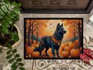 Belgian Sheepdog Fall Doormat Front Door Mat Indoor Outdoor Rugs for Entryway, Non Slip Washable Low Pile, 24H X 36W