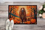 Afghan Hound Fall Doormat Front Door Mat Indoor Outdoor Rugs for Entryway, Non Slip Washable Low Pile, 24H X 36W