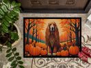 Afghan Hound Fall Doormat Front Door Mat Indoor Outdoor Rugs for Entryway, Non Slip Washable Low Pile, 24H X 36W