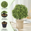 Green Grass Potted for Home Bathroom Office Desk Decor Wholesale Artificial Plants Plastic Plants Faux