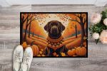 Chocolate Labrador Retriever Fall Doormat Front Door Mat Indoor Outdoor Rugs for Entryway, Non Slip Washable Low Pile, 24H X 36W