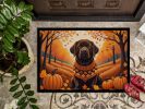 Chocolate Labrador Retriever Fall Doormat Front Door Mat Indoor Outdoor Rugs for Entryway, Non Slip Washable Low Pile, 24H X 36W